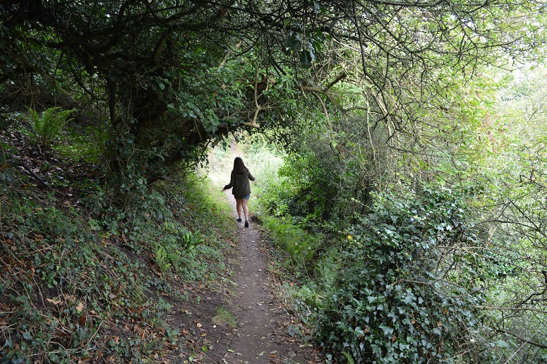 A woodland walk at Staithes